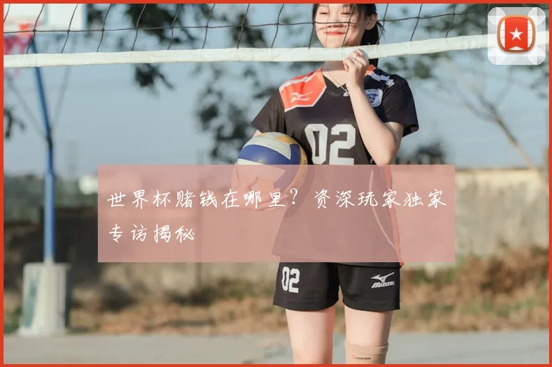 世界杯赌钱在哪里?资深玩家独家专访揭秘