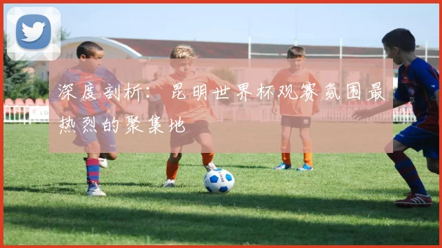 深度剖析：昆明世界杯观赛氛围最热烈的聚集地