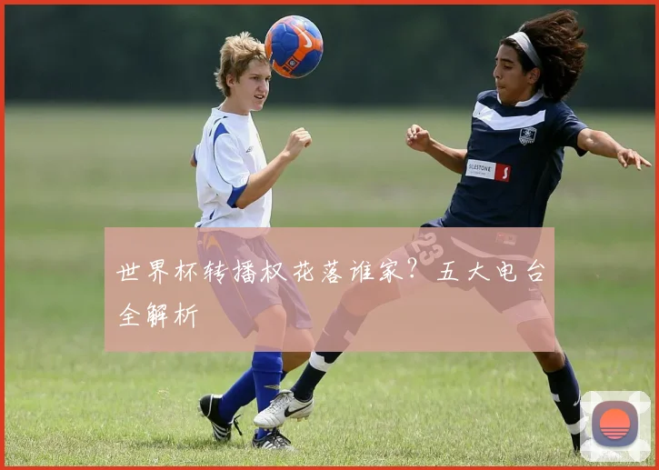 世界杯转播权花落谁家?五大电台全解析