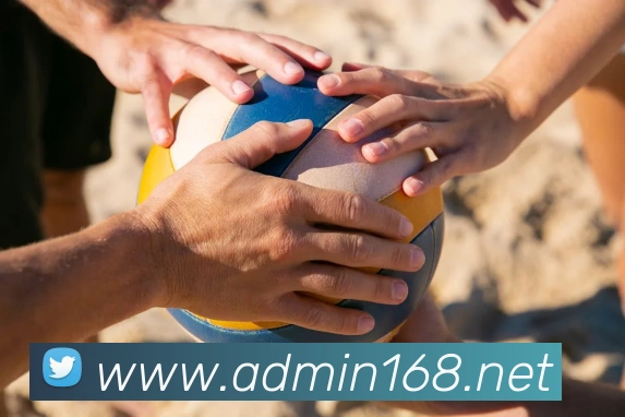 多媒体互动体验