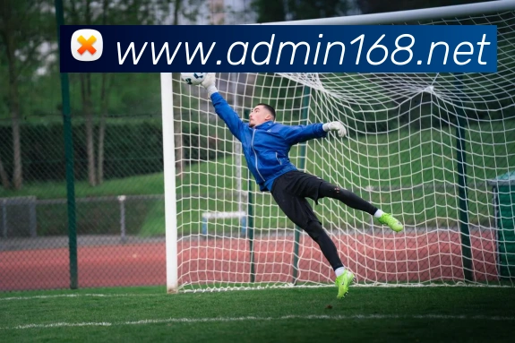 贝博app体育登录入口APP 高清赛事图